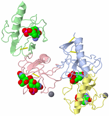 Image Asymmetric Unit