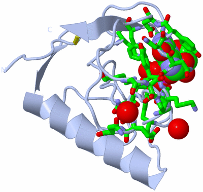 Image Biol. Unit 1 - sites