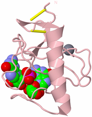 Image Biological Unit 3