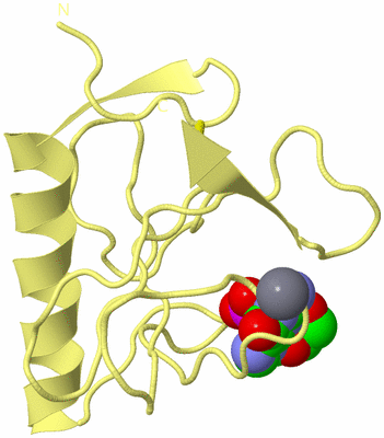 Image Biological Unit 4
