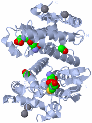 Image Biological Unit 1