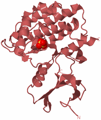 Image Biological Unit 6
