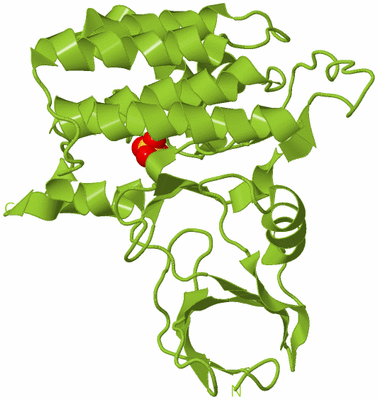 Image Biological Unit 7
