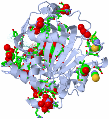 Image Biol. Unit 1 - sites