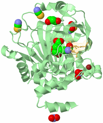 Image Biological Unit 2