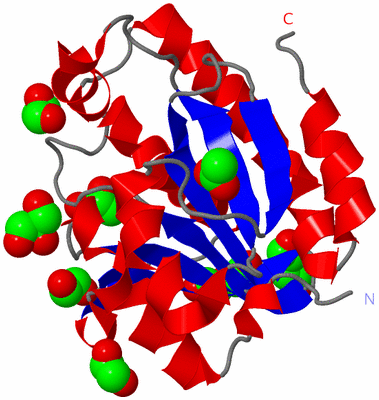 Image Asym./Biol. Unit