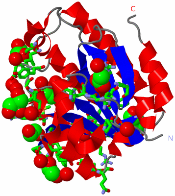 Image Asym./Biol. Unit - sites