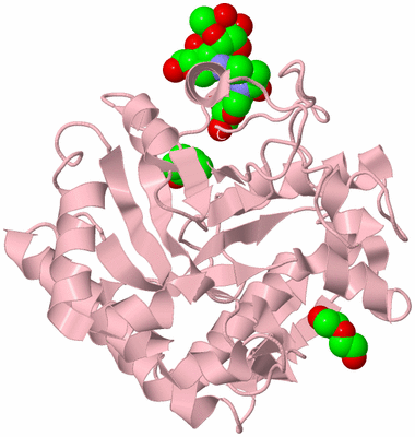 Image Biological Unit 2