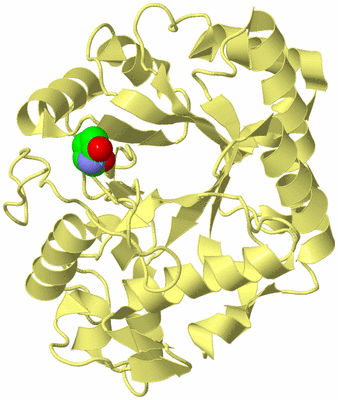 Image Biological Unit 4