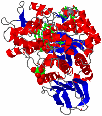 Image Asym./Biol. Unit - sites