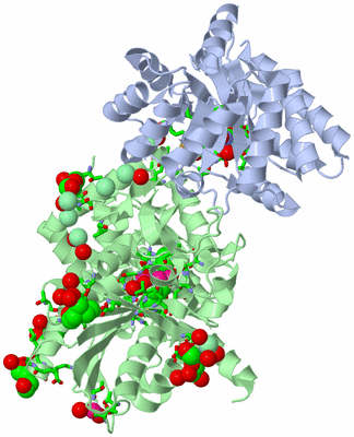 Image Biol. Unit 1 - sites