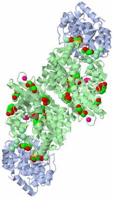 Image Biological Unit 2