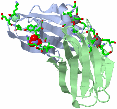 Image Asym./Biol. Unit - sites