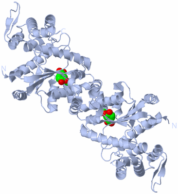 Image Biological Unit 1