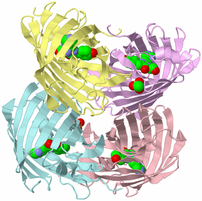 Image Biological Unit 2