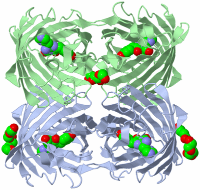 Image Biological Unit 1