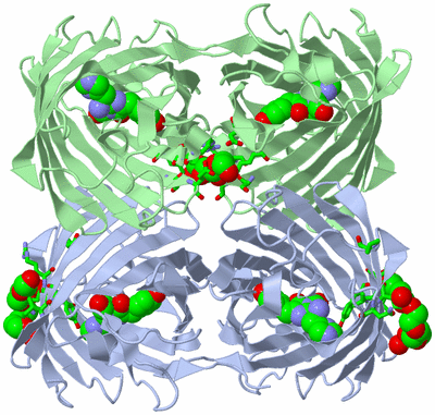 Image Biol. Unit 1 - sites