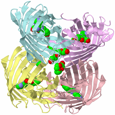 Image Biological Unit 2