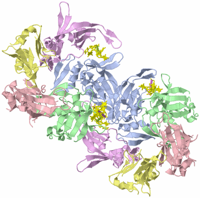 Image Biological Unit 2