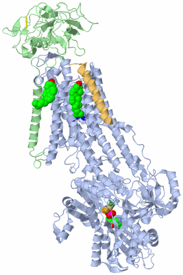 Image Biological Unit 1