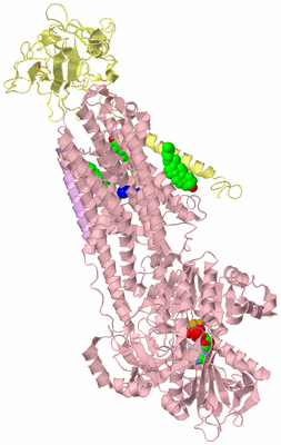 Image Biological Unit 2