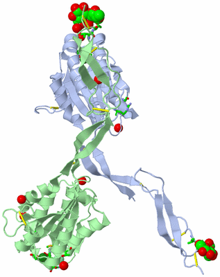 Image Asym. Unit - sites