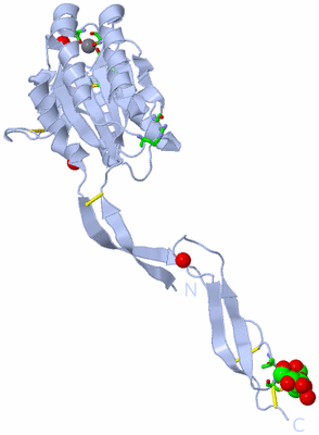 Image Biol. Unit 1 - sites