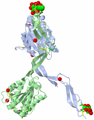 Image Asym. Unit - sites