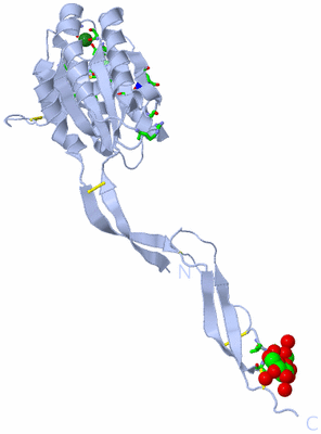 Image Biol. Unit 1 - sites