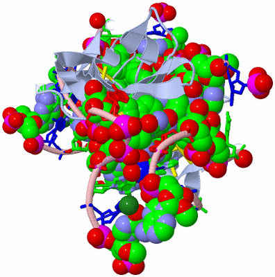 Image Biol. Unit 1 - sites