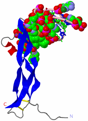 Image Asym. Unit - sites