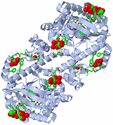 Image Biol. Unit 1 - sites