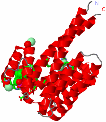 Image Asym. Unit - sites