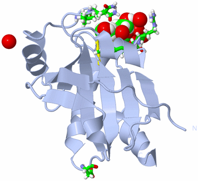 Image Biol. Unit 1 - sites