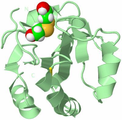 Image Biological Unit 2