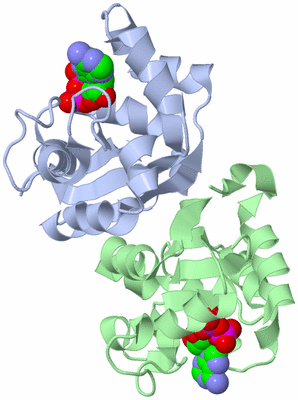 Image Biological Unit 3