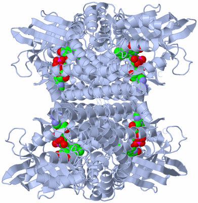 Image Biological Unit 1