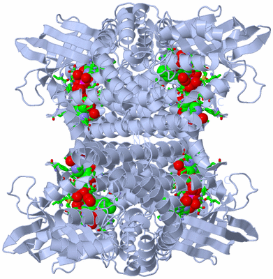 Image Biol. Unit 1 - sites