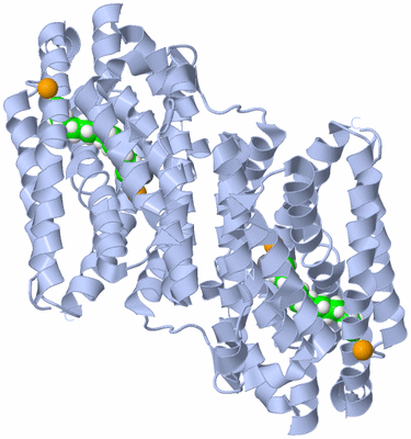 Image Biological Unit 1