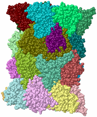 Image Asym./Biol. Unit - sites