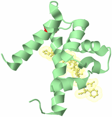 Image Biological Unit 3