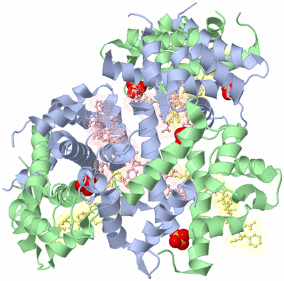 Image Biological Unit 4