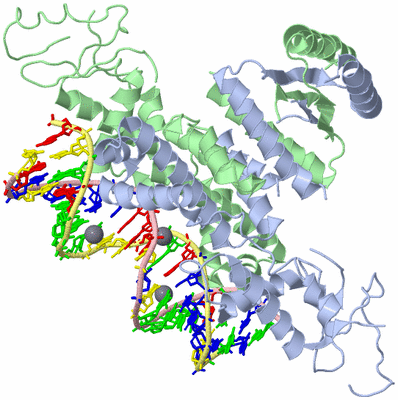 Image Asym./Biol. Unit