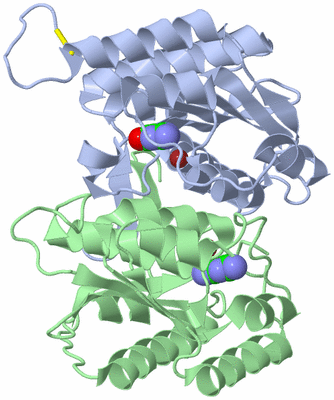 Image Asym./Biol. Unit