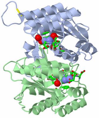 Image Asym./Biol. Unit - sites