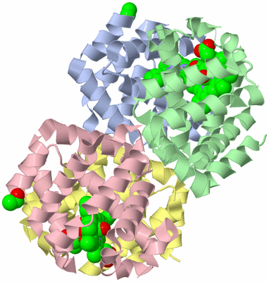 Image Biological Unit 1