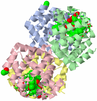 Image Biol. Unit 1 - sites