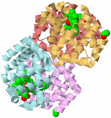 Image Biological Unit 2