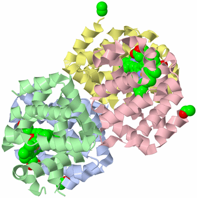 Image Biological Unit 1