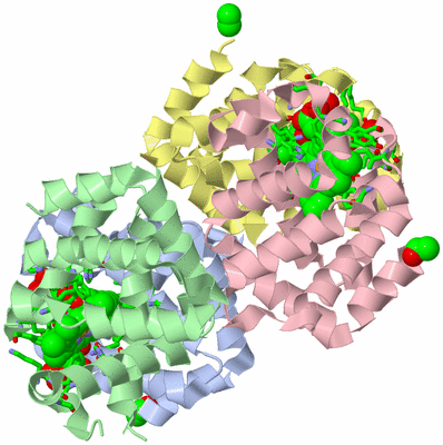 Image Biol. Unit 1 - sites